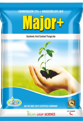 MAJOR PLUS