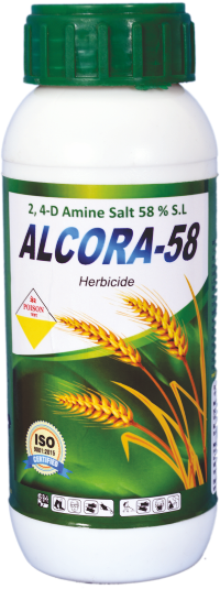 ALCORA-58
