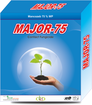 MAJOR 75