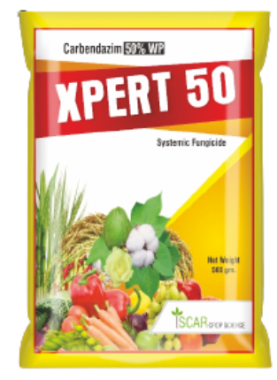 XPERT 50