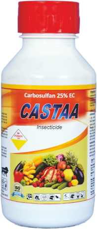 CASTAA