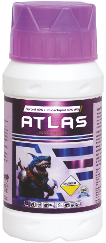 ATLAS