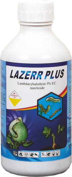LAZERR PLUS