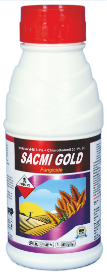 SACMI GOLD