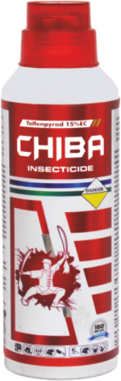 CHIBA