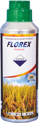 FLOREX