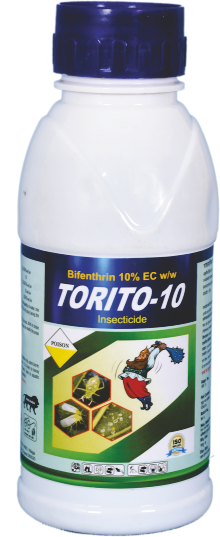 TORITO-10