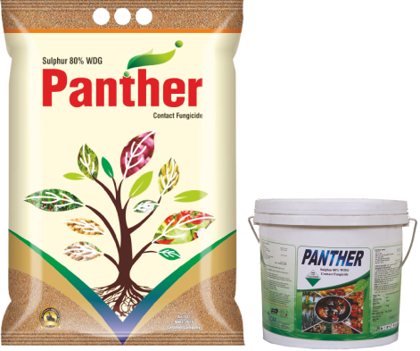 PANTHER