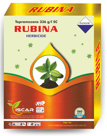 RUBINA