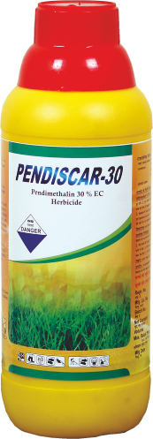PENDISCAR -30