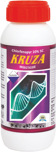 KRUZA