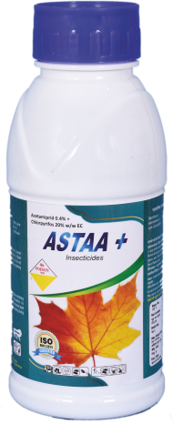 ASTAA+