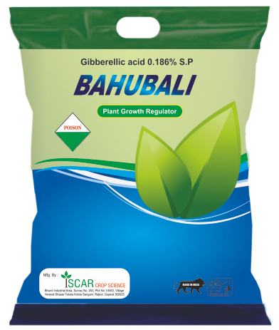BAHUBALI